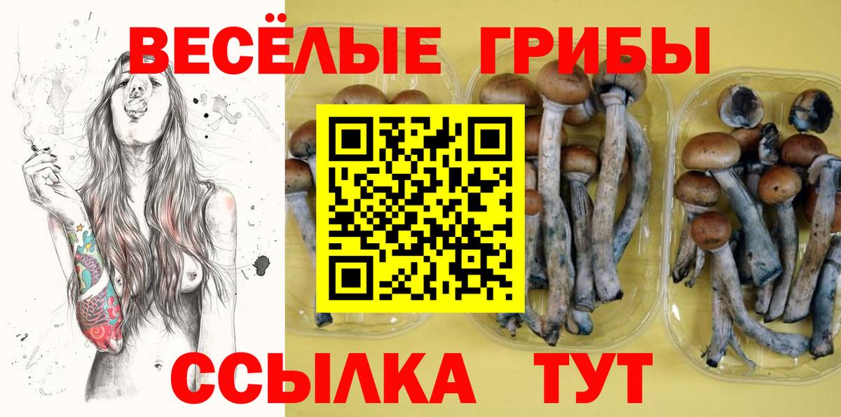 Галлюциногенные грибы GOLDEN TEACHER  Вход с VPN  Вязники 
